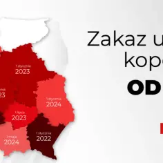 Mapa Polski z datami zakazu używania kopciuchów. Zastanawiasz się, ile kosztuje podłączenie pieca na ekogroszek? Sprawdź, kiedy zmiany wejdą w życie.