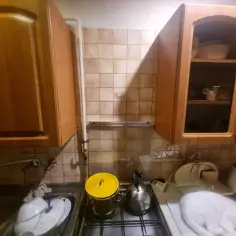 Jak zabudować rury w kuchni? Widok na zlew, kuchenkę i szafki. Biały kot odpoczywa na blacie.