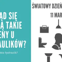 Światowy Dzień Hydraulika 11 marca. Skąd się biorą ceny u hydraulików? Ile zarabia pomocnik hydraulika na godzinę?