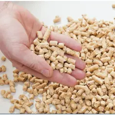 Dłoń trzymająca pellet drzewny. Zastanawiasz się, ile kosztuje tona pelletu? To ekologiczne paliwo jest coraz popularniejsze.